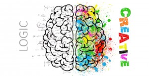 hersenen - brain